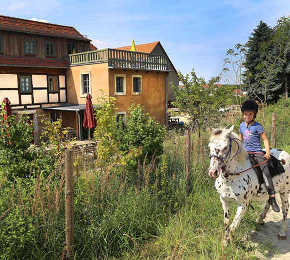Reitplatz neben dem Ferienhaus Lindenhof in Graupa